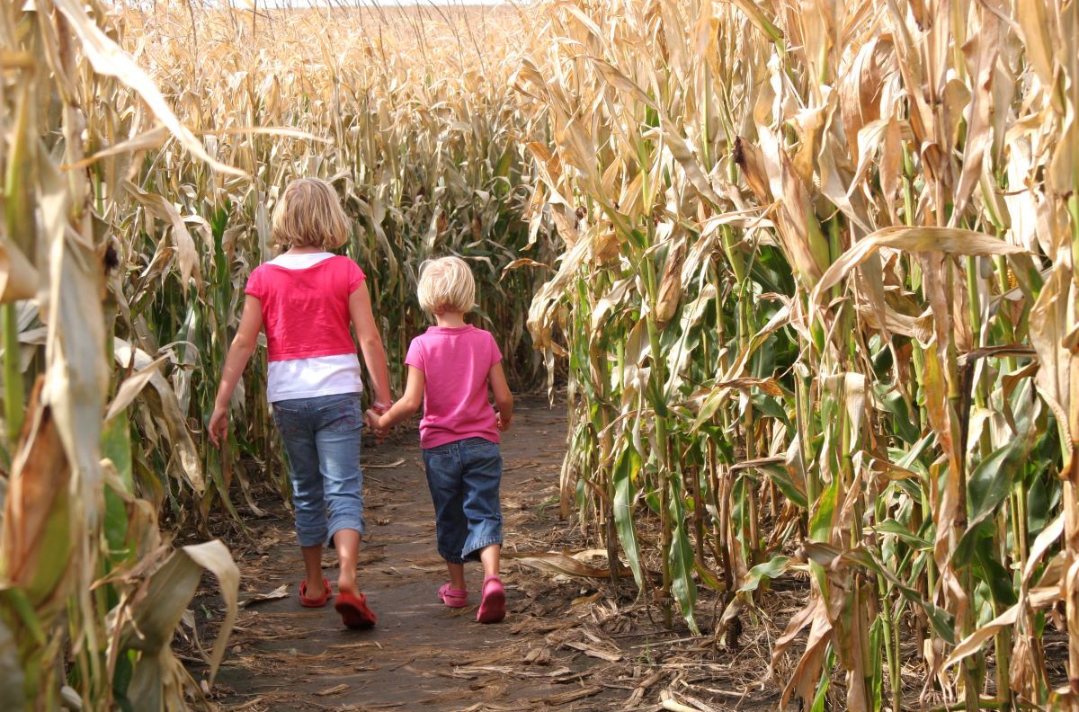 girls in st augustine corn maze