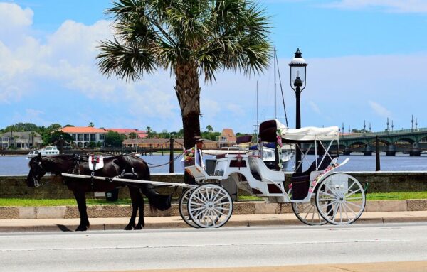 horse drawn carriage in st augustine