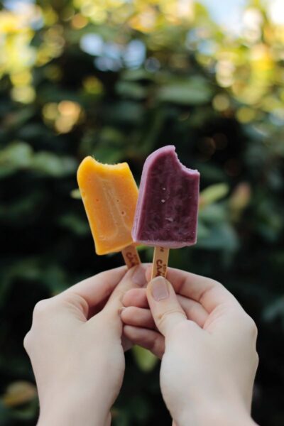 popsicles from st augustine cafe