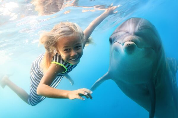 girl swimming with dolphin