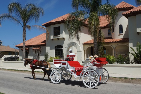 Carriage ride in St. Augustine